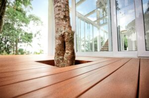 This image depicts a close-up image of deck boards. A tree is growing in a square cut-out of the decking.