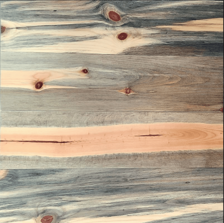 Blue Stain Pine