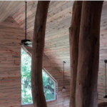 Blue Stain Pine Installed 1