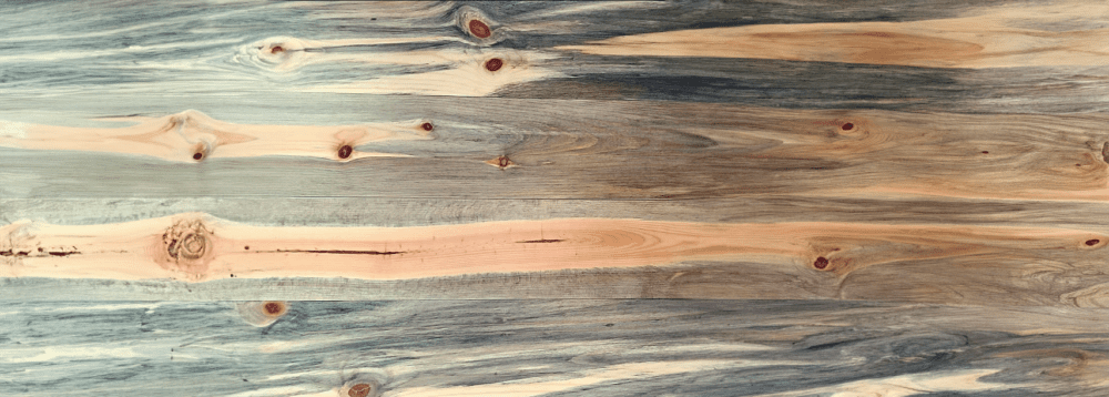 Blue Stain Pine_expanded