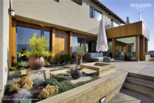 This image depicts a modern house exterior with wooden accents featuring a landscaped garden with potted plants, a concrete patio with outdoor furniture and a closed white patio umbrella.